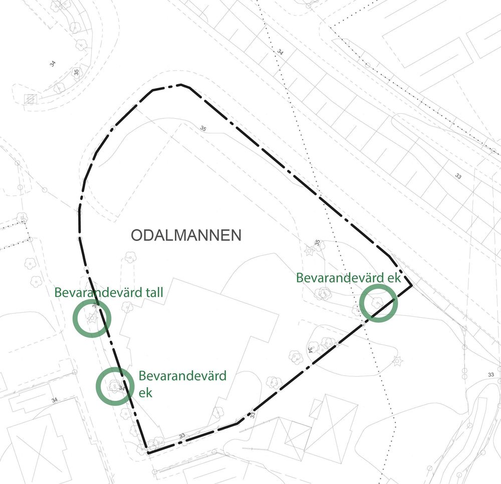 Karta som visar tre bevarandevärde träd, markerade med gröna ringar. Två av träden ligger utanför planområdet på kommunens fastighet. En bevarandevärd ek pekas ut i planområdet östra del, intill fastighetsgränsen.